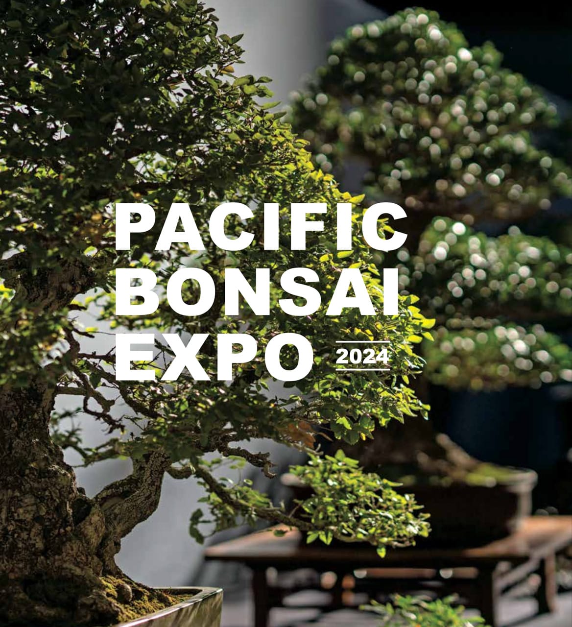 Pacific Bonsai Expo 2024 Commemorative Album