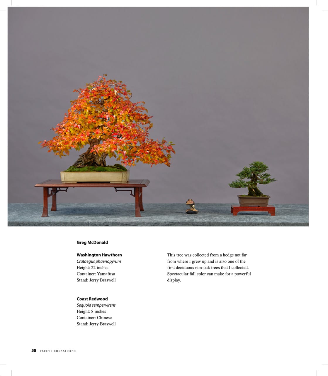 Pacific Bonsai Expo 2022 Commemorative Album