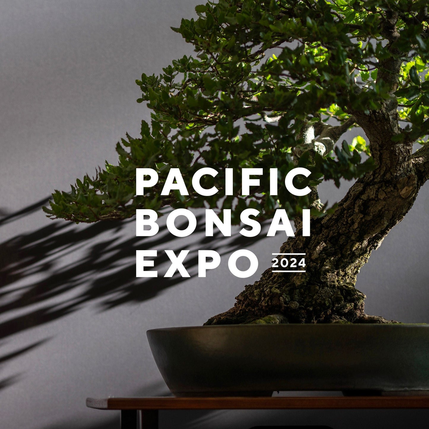 Pre-Sale: Pacific Bonsai Expo 2024 Commemorative Album