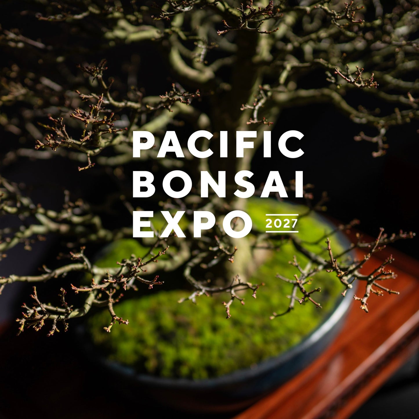 Pacific Bonsai Expo 2027 Commemorative Album PRESALE